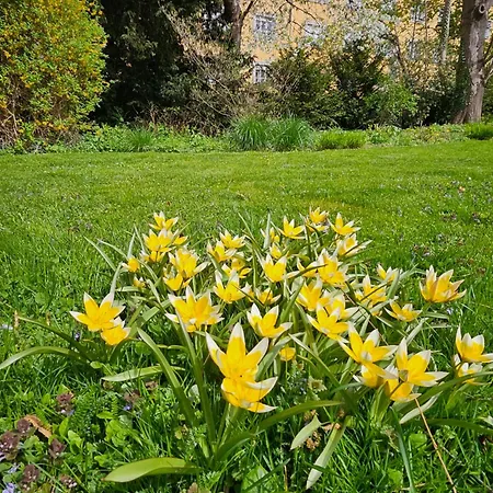 Green Flat By Grazrentals Garden View & Quiet & Free Parking Graz