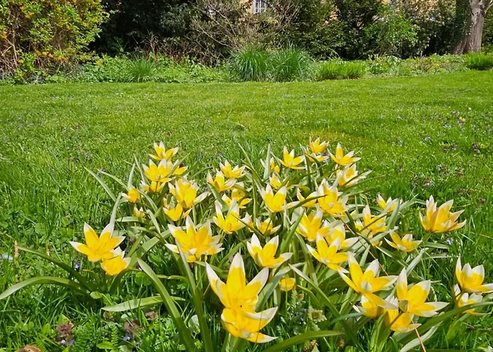 Green Flat By Grazrentals Garden View & Quiet & Free Parking Graz